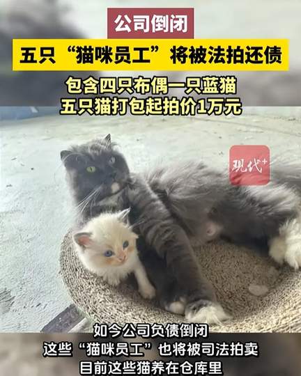 配图
